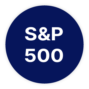 S&P 500